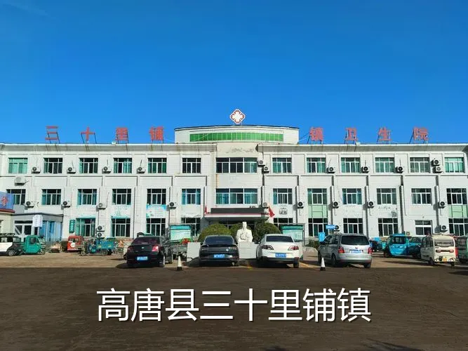 高唐县三十里铺镇